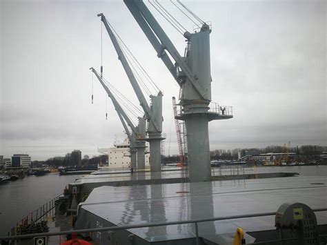 olive shipmanagement inc